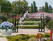 GROSSATO M BUDDIES CampITA2013- S5 1447 : BUDDIES BELVINO V, Campionati Italiani 2013, Cattolica, GROSSATO MASSIMO, Horse Riviera Resort, foto di Stefano Secchi ©